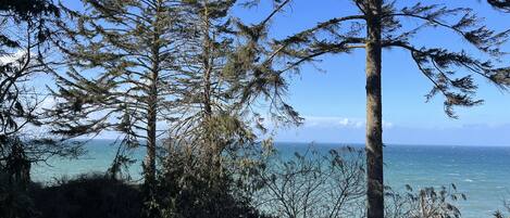 Water views look across to San Juan Islands and Victoria B.C.