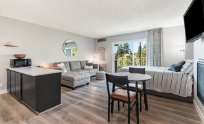 Living area with Murphy Bed