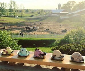 Moomers Ice Cream