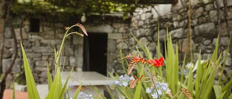 Jardines del alojamiento