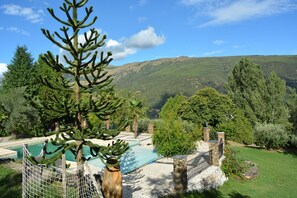 Monkey puzzle tree and view of pool at cortijos rey fini.