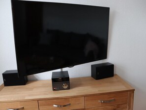 Television