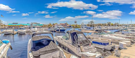 The Marina - Rent a Ski Boat, Pontoon or Jetski....