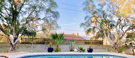 Pool and spa with mountain views in private backyard surrounded by Olive trees. 