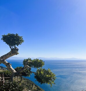 Vista da propriedade