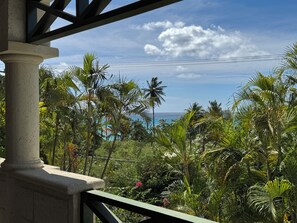 Oceanview from terrace