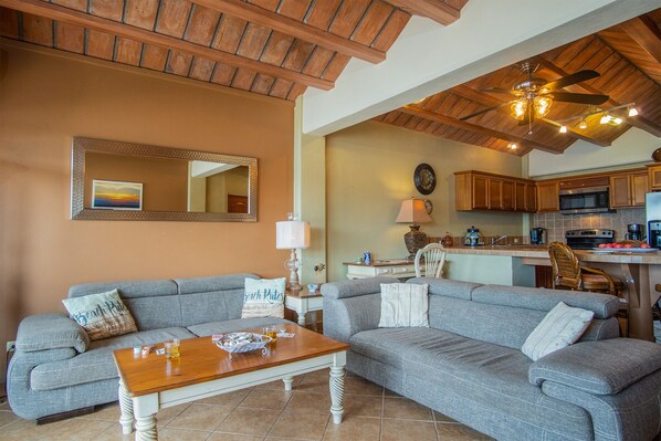 Tiled ceiling, spacious living room