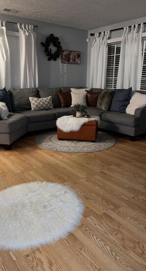 Living room - main level