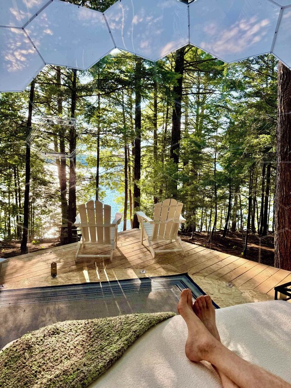 Surrounded by nature.