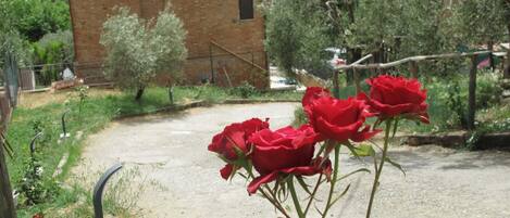 Jardines del alojamiento