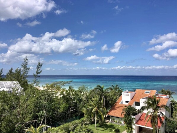 View from balconies. 