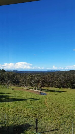 View to East over state forest