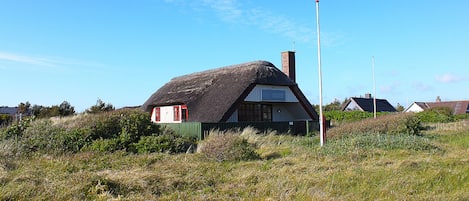 Eksteriør