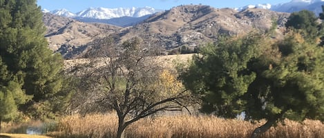 Typical view of the surrounding foothills and Sierra Nevada Mountains.