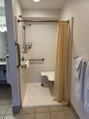 Handicap Accessible Rm 1 - Roll-in shower, grab rails, seat, rollup sink