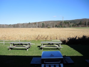Grill and outdoor dining area