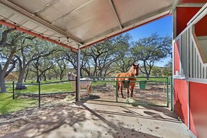 Stop by and visit the horses