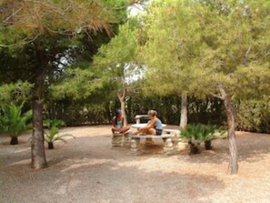 Property grounds