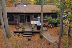 peaceful pine needle carpet in the backyard