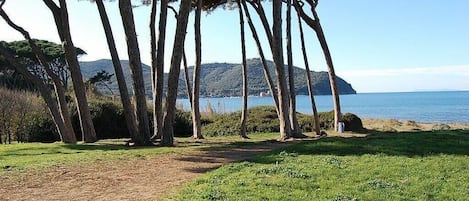 Baratti 