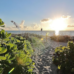 Jeff and Gina Properties - Belleair Beach Club 215 (BBC215) - Belleair Beach - 1 Bedroom - 1 Bathroom - Gulf Waterfront - Beach Front