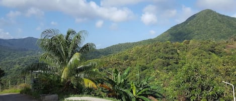 Terrain de l’hébergement 