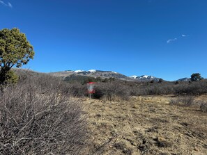 9 Hole Frisbee Golf Course on the property