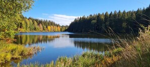 Kuttelbacher Teich - schwimmen und Tretbootverleih