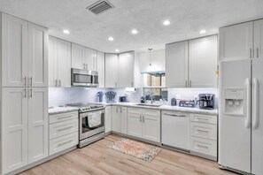 Sleek and Shiny Kitchen