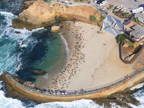 Children’s Pool Beach