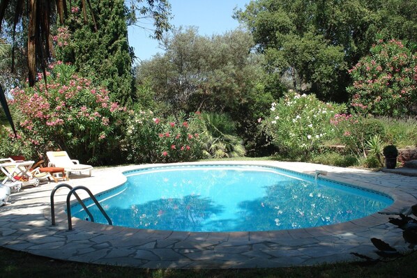 Holiday Home Swimming Pool