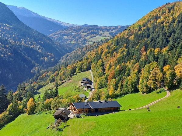 Schneiderbauer, Lohfeyer
