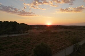 View from Holiday Home [summer]