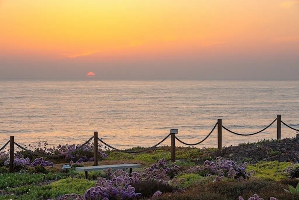 Magical sunsets and green flashes if you're lucky.