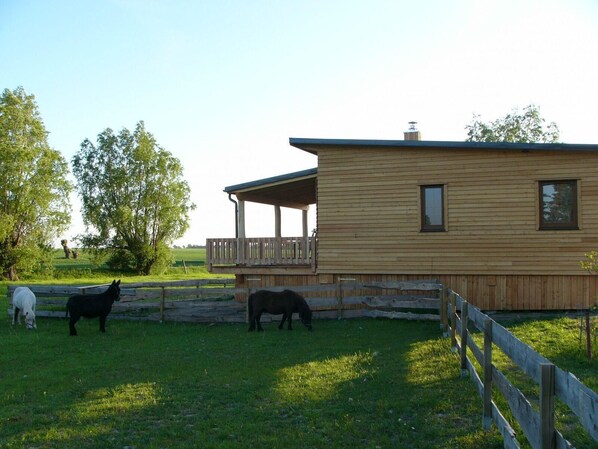 External view of the building