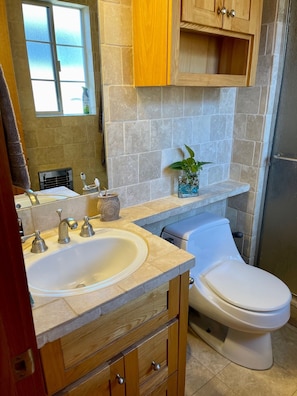 Private tiled bathroom for master bedroom with enclosed shower