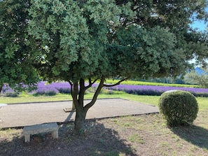 terrain de Pétanque