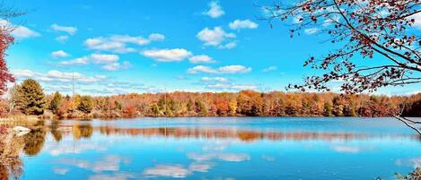 Breathtaking view of the lake