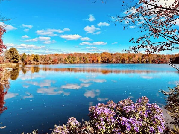 Breathtaking view of the lake