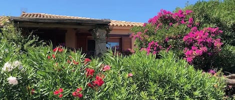 View of house from the street (very well hidden behind the greenery)