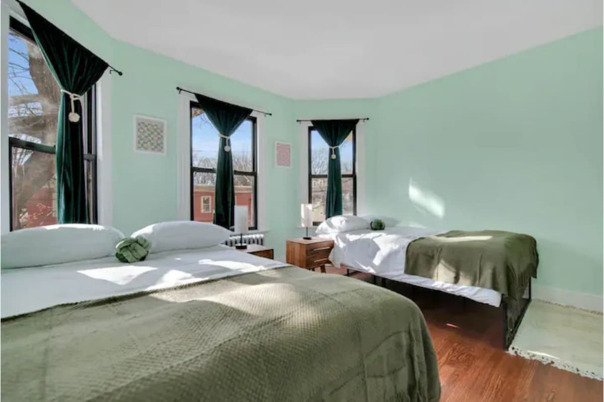 Green N’ Groovy in the Heart of East Rock Near DT | Yale |Cozy N’ Comfortable