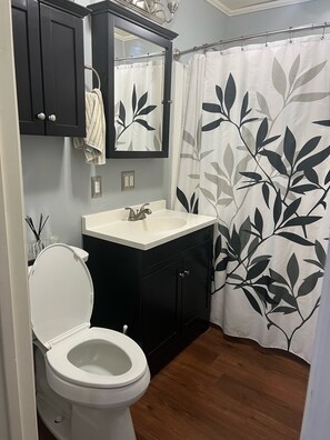Roomy bathroom, with a shower/tub combination. 