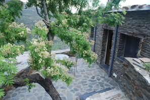 View of Pablito terrace with door to the kitchen, cortijos rey fini