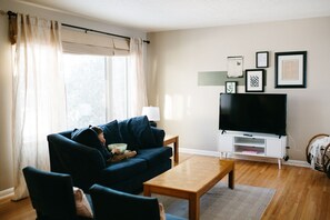 The living area is comfy. The perfect place to have drinks or watch a movie.