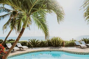 Patio + pool area 