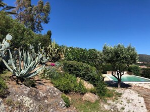 vue de la piscine 