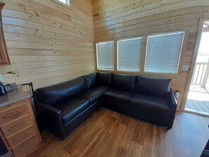 Living Room W/ Sofabed