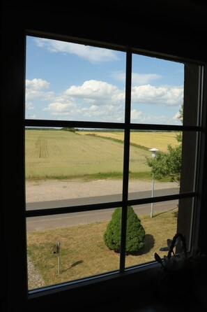 Blick nach vorn..