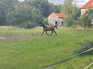 Idrottsanläggning