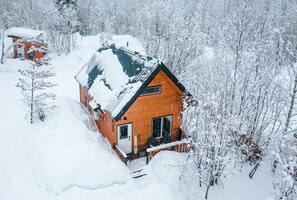 Aerial view of Grey Lodge in the winter